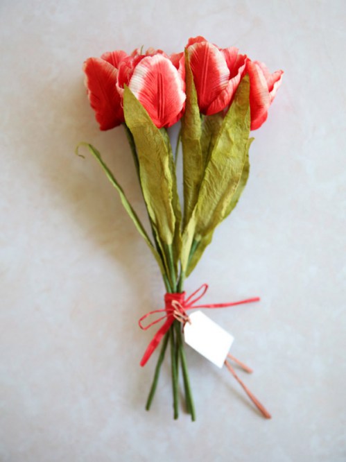 Tulipa Floriade - Red