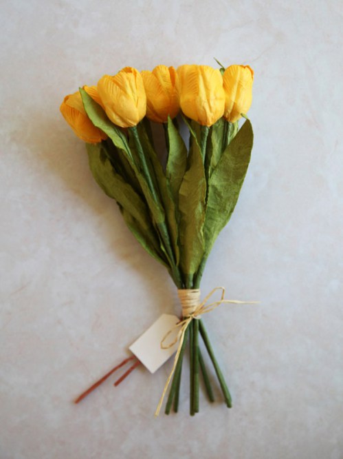 Tulipa Floriade - Red